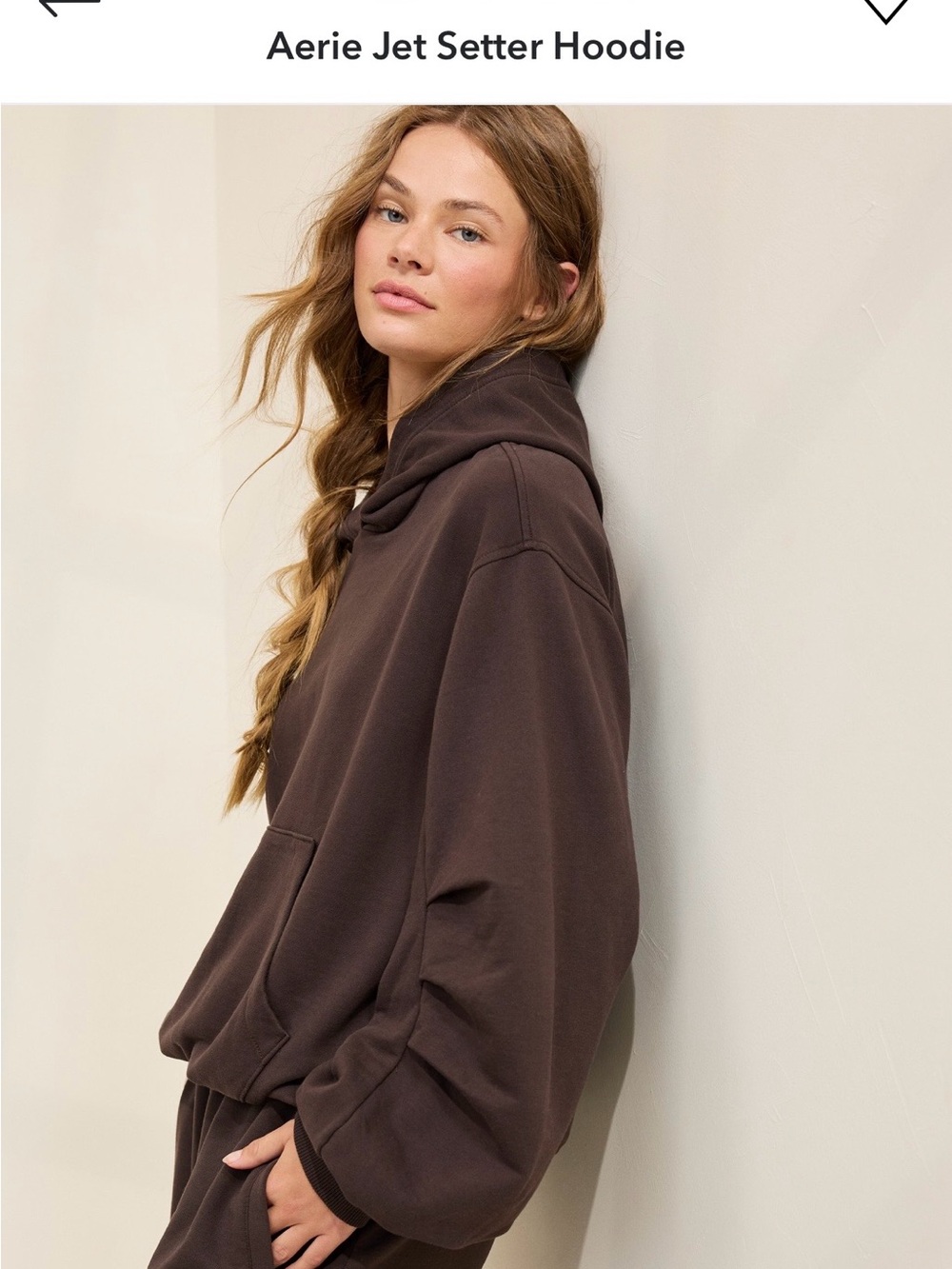 aerie Jet Setter Hoodie - Chocolate